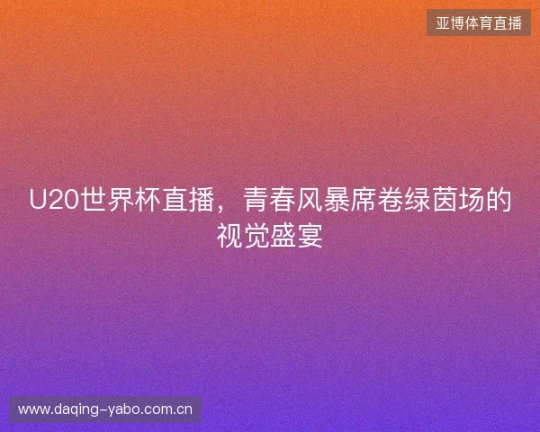 U20世界杯直播，青春风暴席卷绿茵场的视觉盛宴